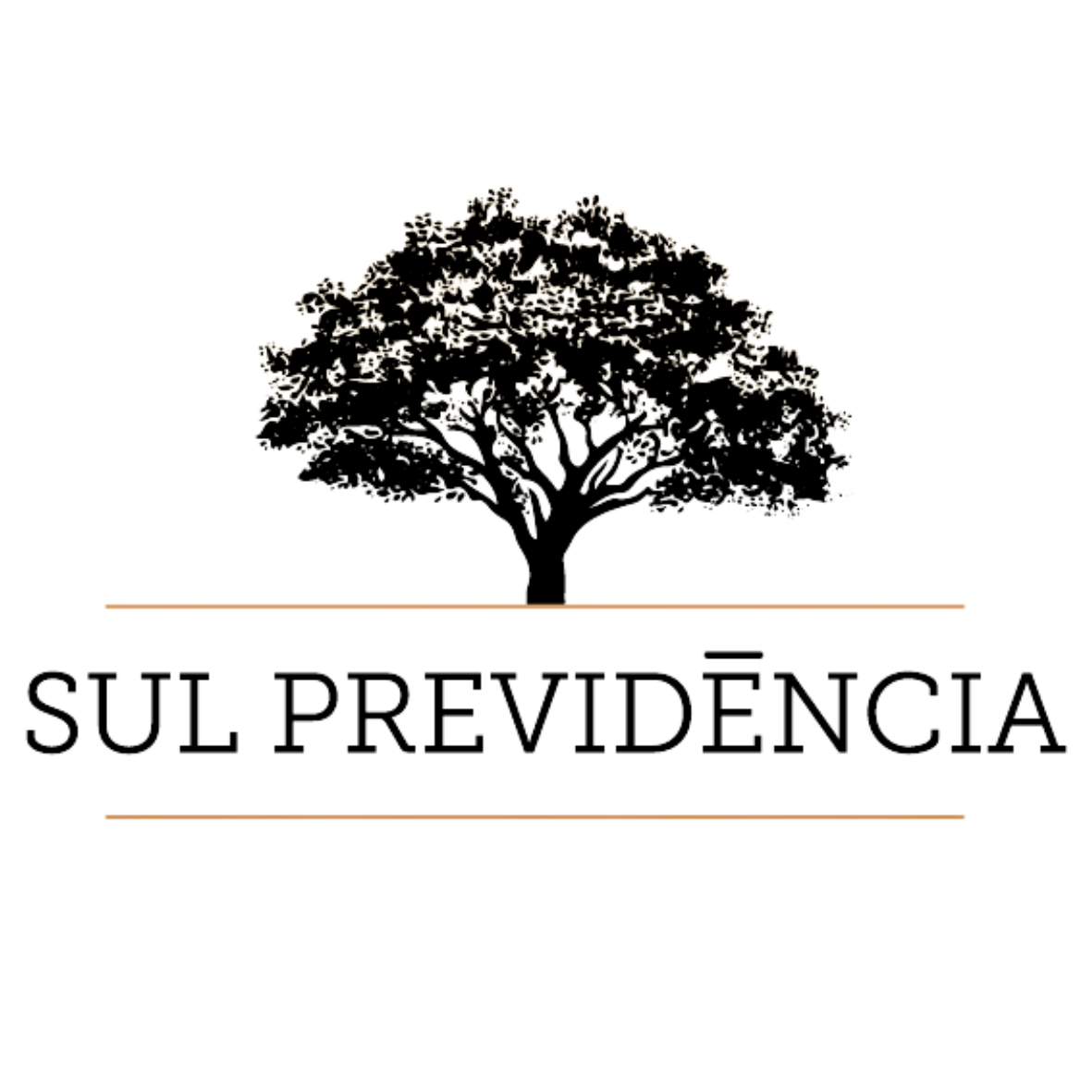 Sul Previdência